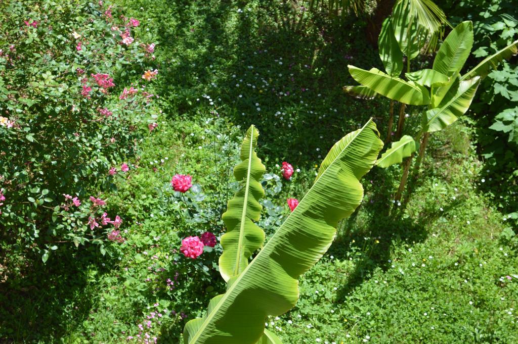 Palm Garden Home Opatija Exterior foto